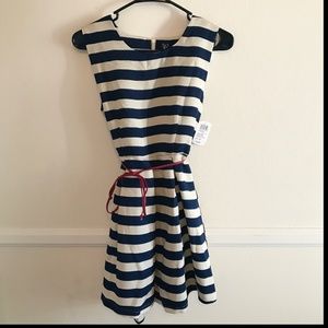 NWT Navy & Taupe Striped Dress